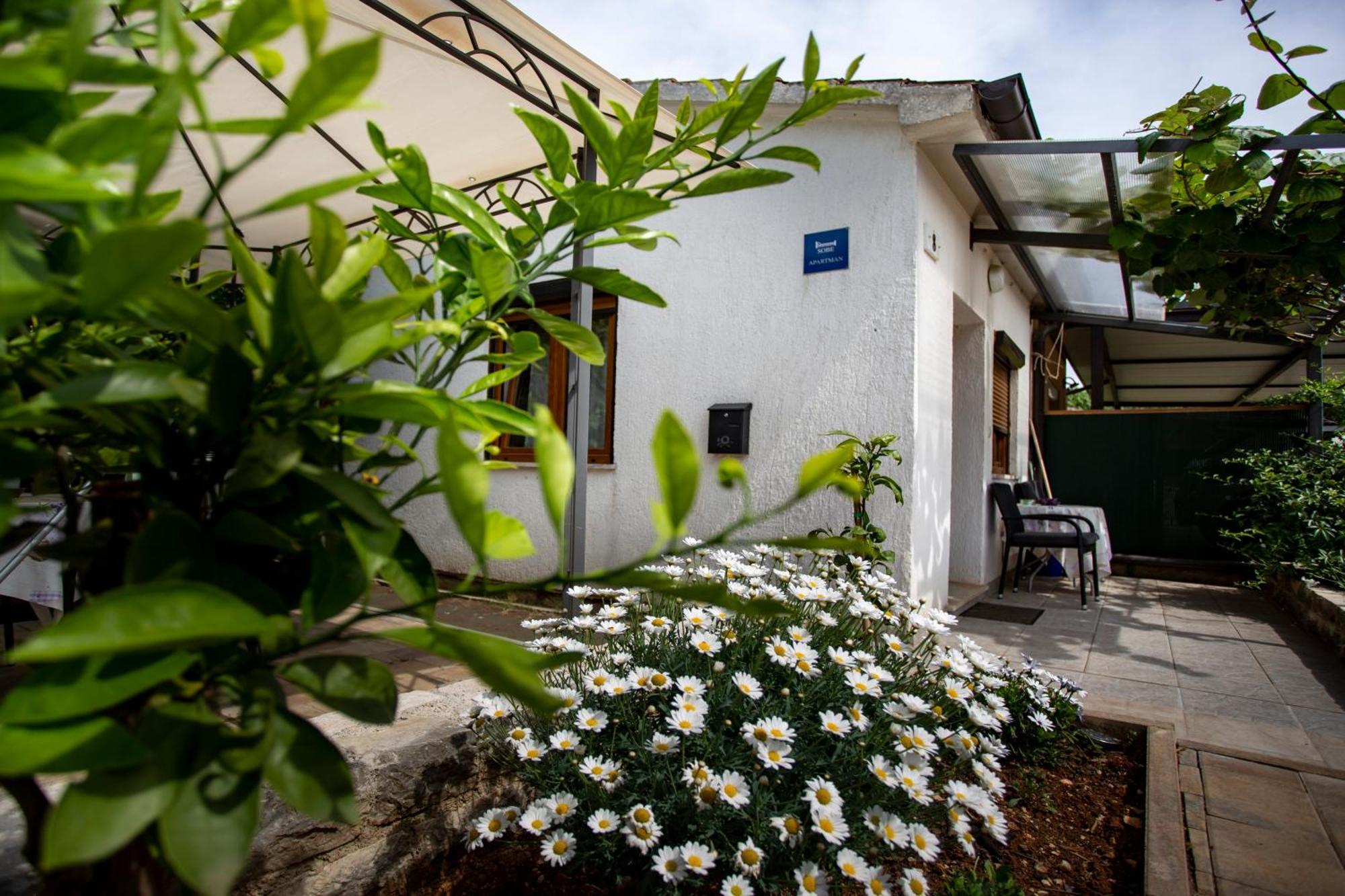 Apartments Ina & Ika Rovinj Exteriör bild